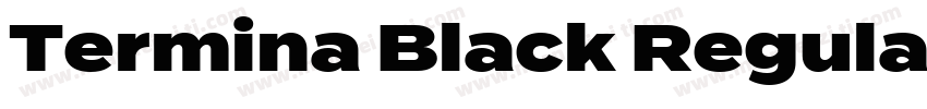 Termina Black Regular字体转换